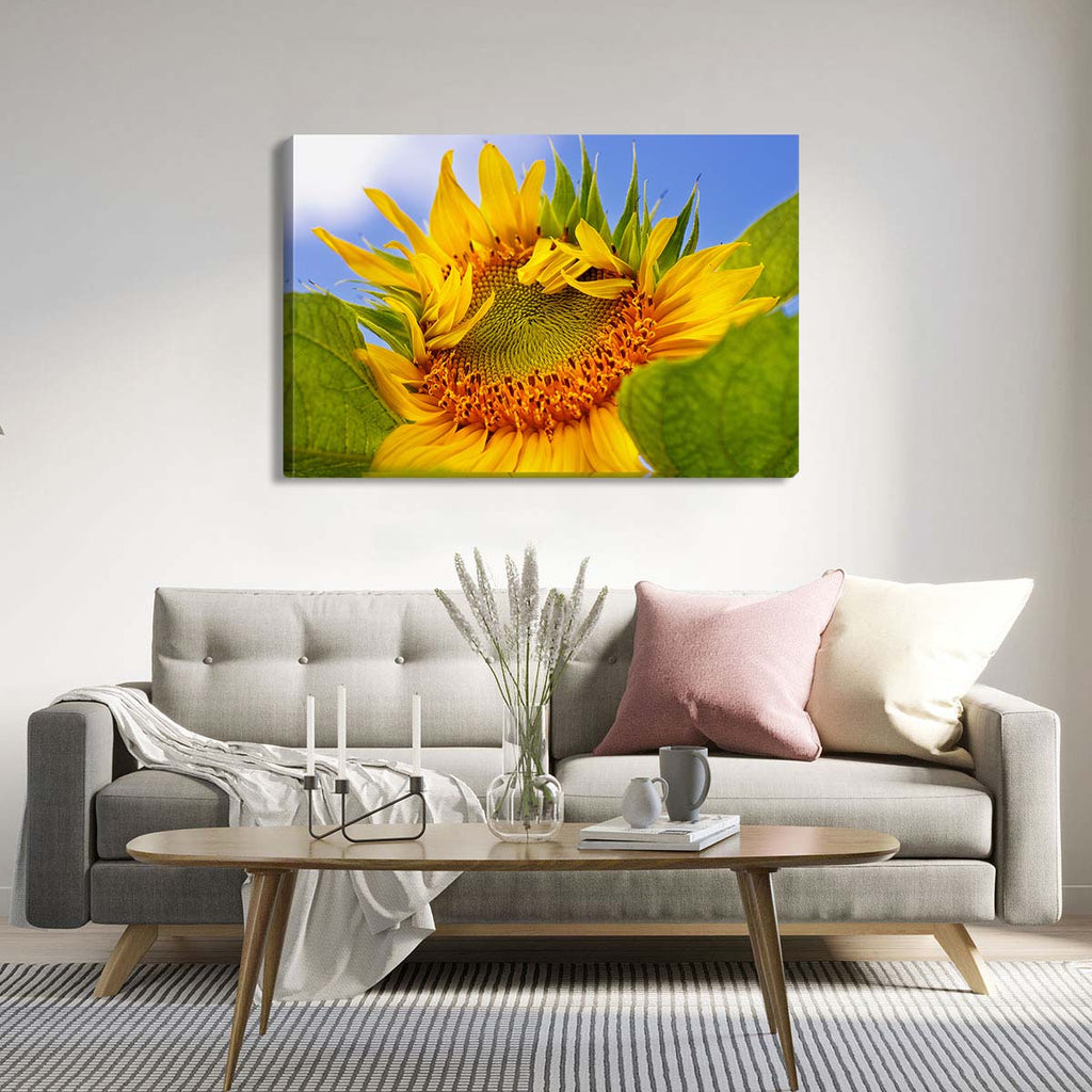 Canvas. Foto decorativa. Flor de girasol. Envío gratis - Sergio Tapiro Fotos de volcanes y Naturaleza | Prints