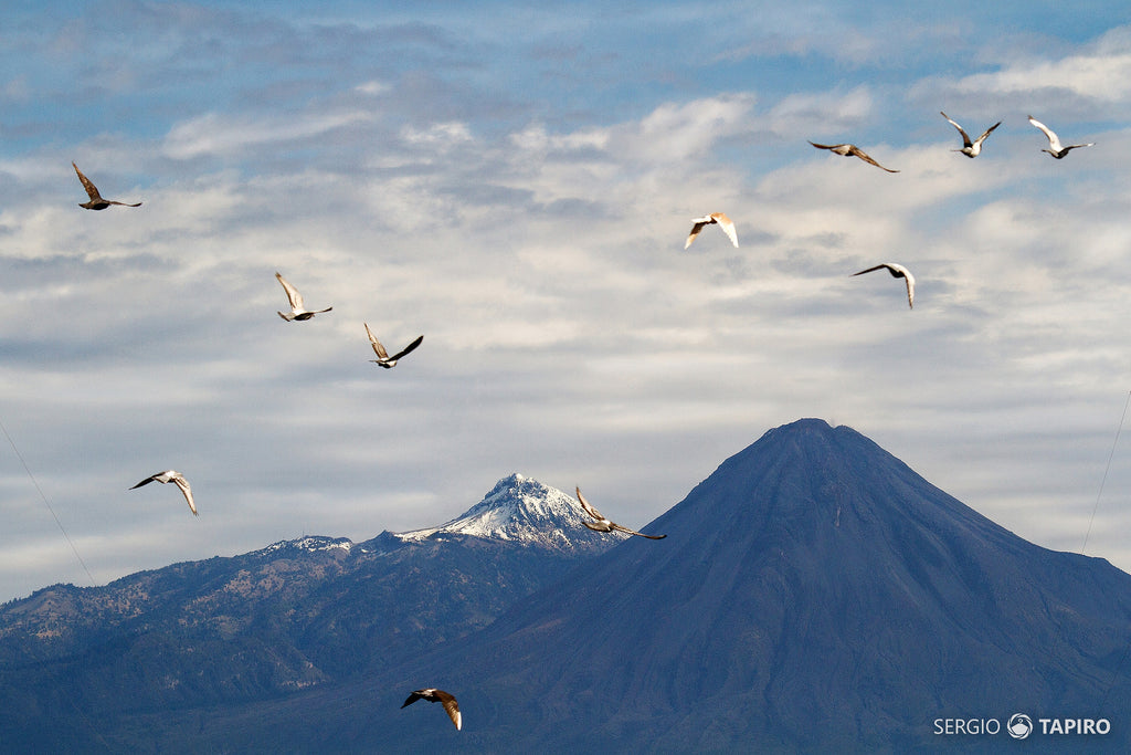 Foto: Blanca mañana. - Sergio Tapiro Fotos de volcanes y Naturaleza | Prints