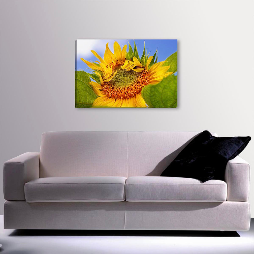 Canvas. Foto decorativa. Flor de girasol. Envío gratis - Sergio Tapiro Fotos de volcanes y Naturaleza | Prints